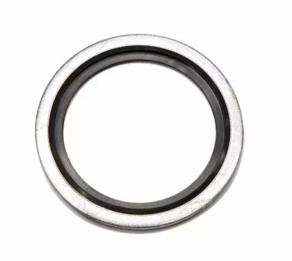 Кольцо USIT R 1 1/4" гидравлическое