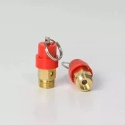 Клапан предохранительный (53004)