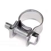 Хомут винтовой MINI 10-12/9 W1