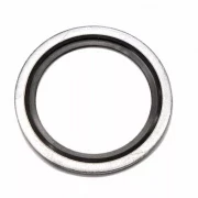 Кольцо USIT R 1 1/4" гидравлическое
